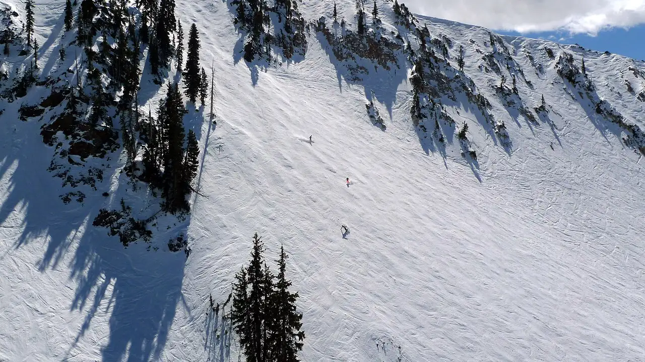 A skier carving down a steep, wide-open powder run at Snowbird ski resort in Utah