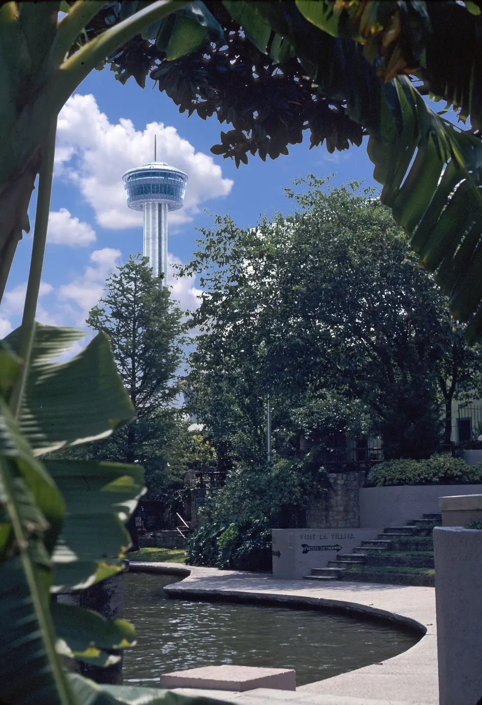 The Tower of the Americas rising above trees and buildings in downtown San Antonio