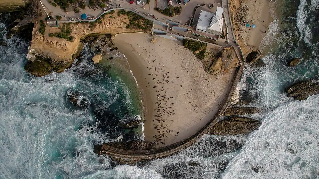 The curved seawall and small beach at Children's Pool in La Jolla with seals on the sand