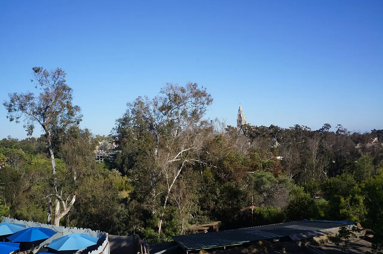 View over the San Diego Zoo canyon enclosures from the Skyfari aerial tram