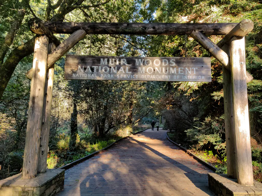 Tall coast redwoods and a wooden boardwalk trail in Muir Woods National Monument