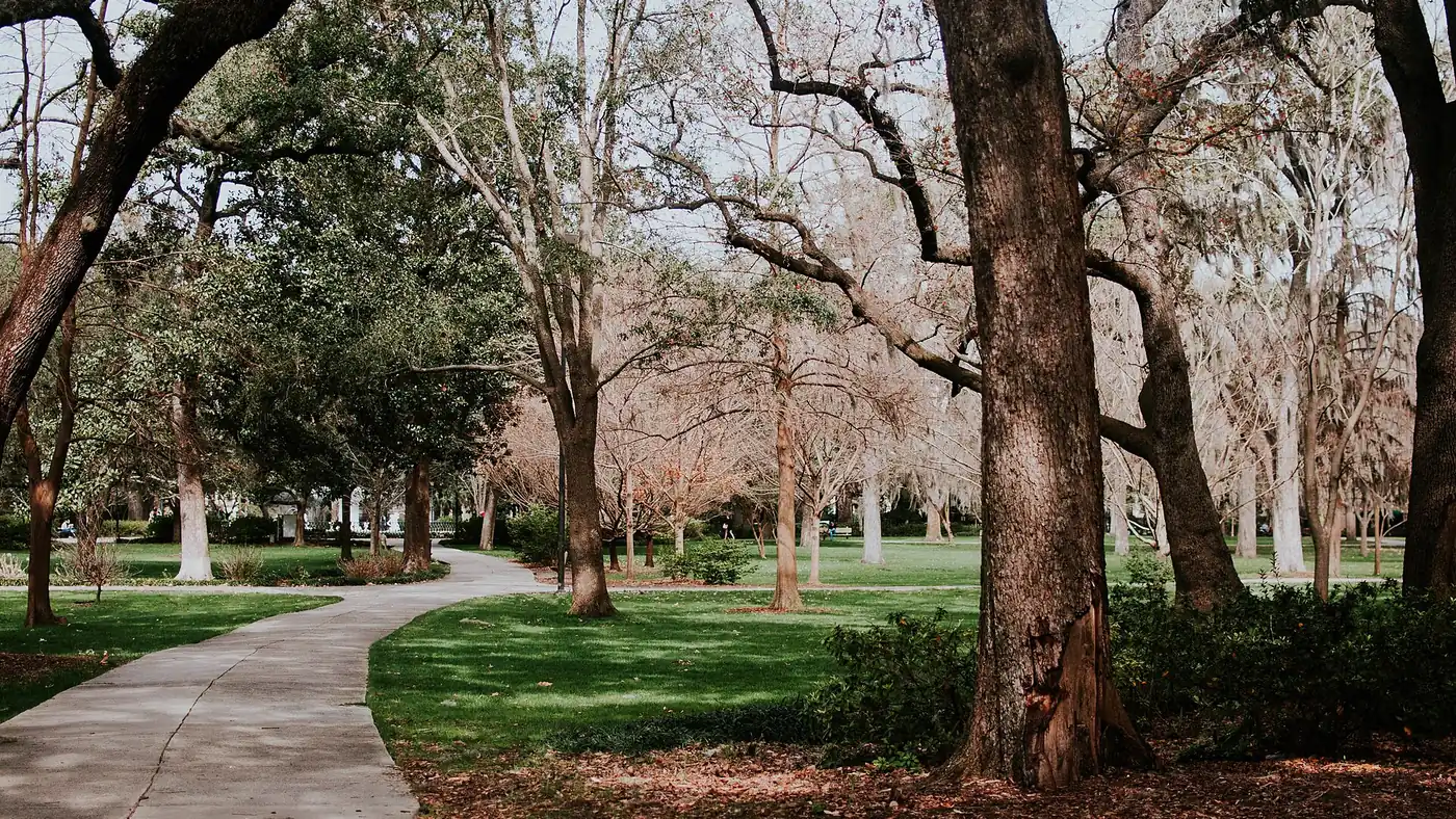 Live oaks shading a wide path through Forsyth Park in Savannah, Georgia