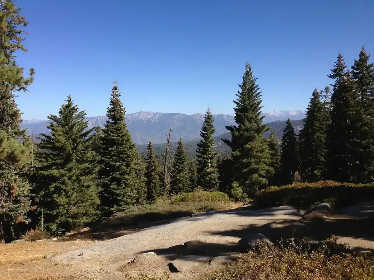 Overlook toward Kings Canyon from the Generals Highway corridor in Giant Sequoia National Monument