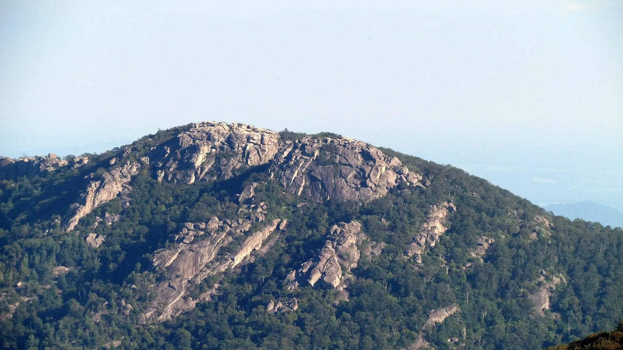 Skyline Drive winding along a forested ridge in Shenandoah National Park