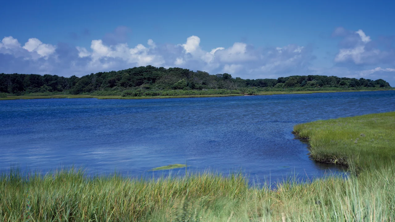Tidal salt marsh and creek near Beaufort in the South Carolina Lowcountry under a blue sky
