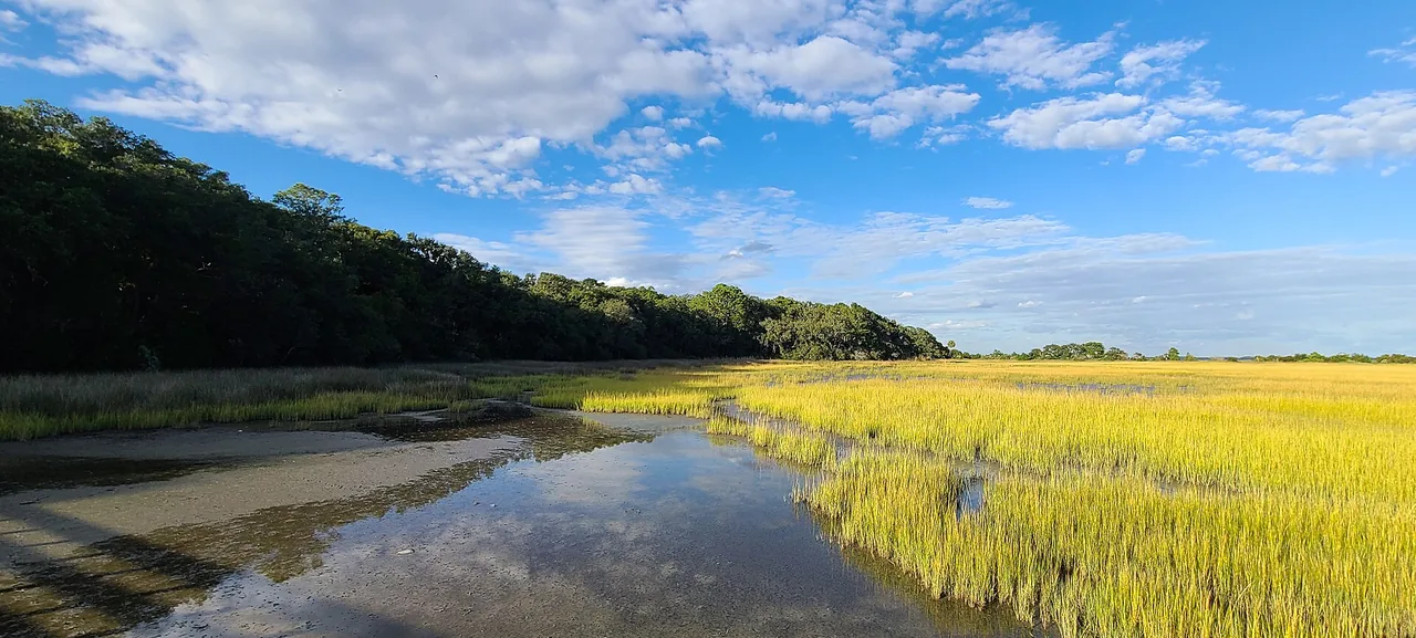 A tidal creek winding through green salt marsh grass at Fish Haul Creek on Hilton Head Island
