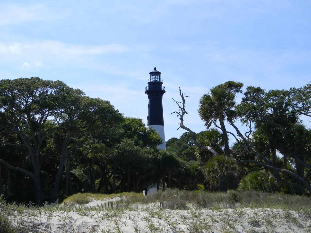 The black and white Hunting Island Lighthouse rising above the pines in Hunting Island State Park