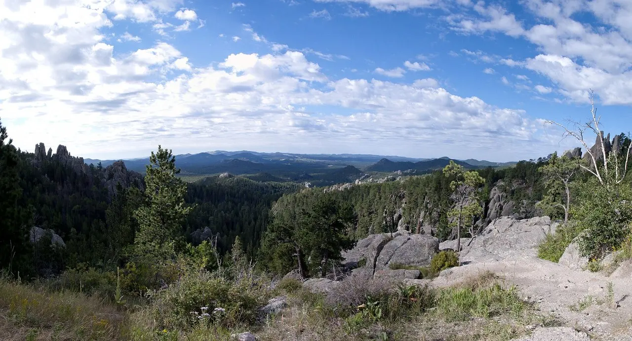 Granite spires and forest along Needles Highway in Custer State Park