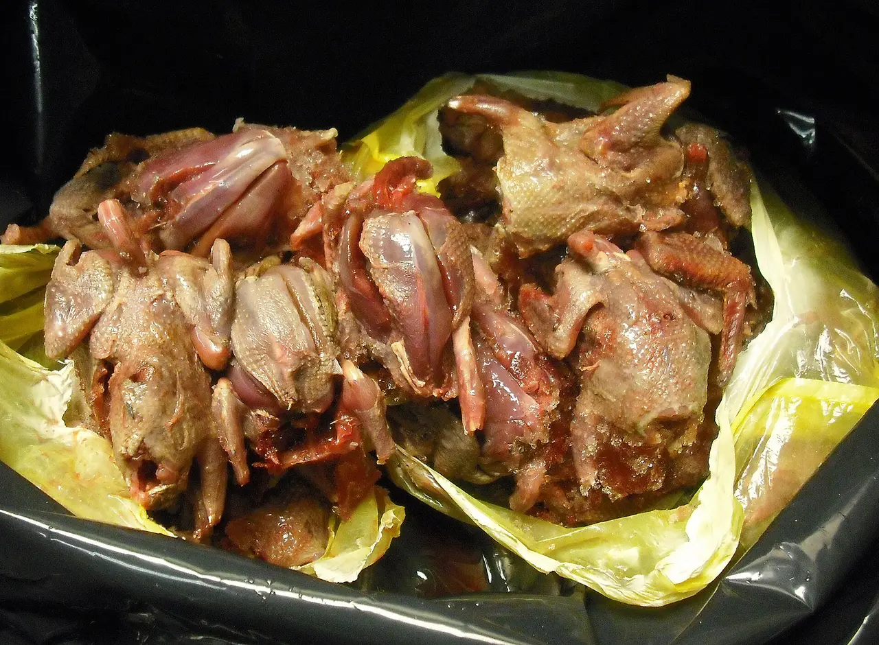 Uninspected poultry carcasses seized by CBP agriculture specialists from a traveler bag