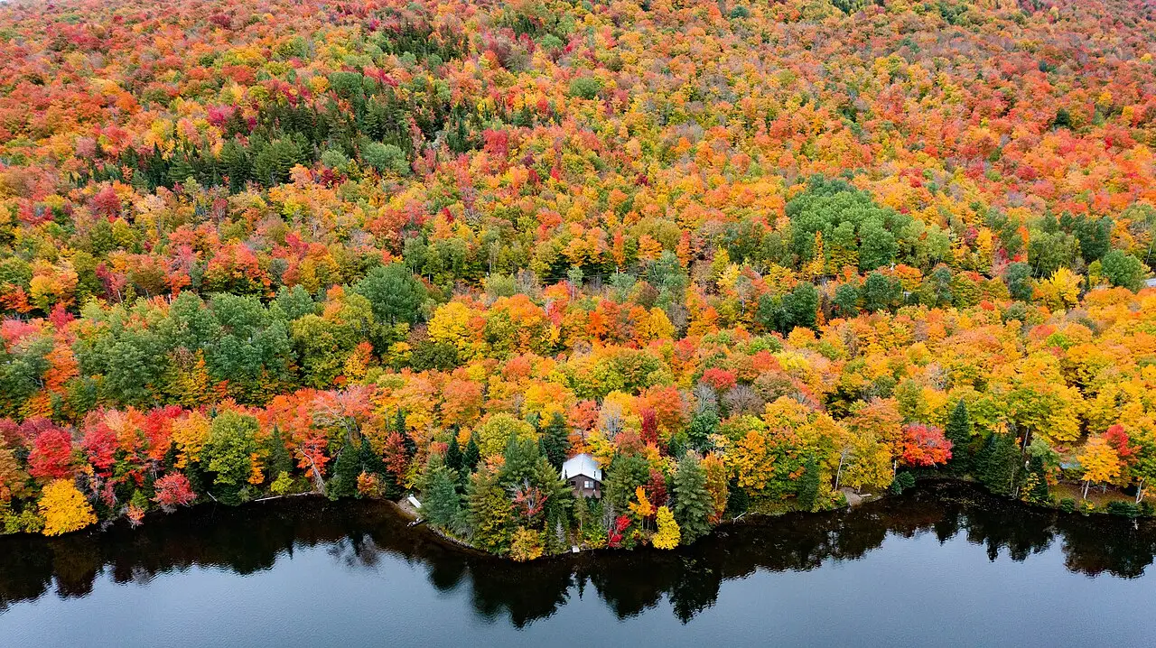 Red and gold fall foliage reflected on Norton Pond in Vermont Northeast Kingdom