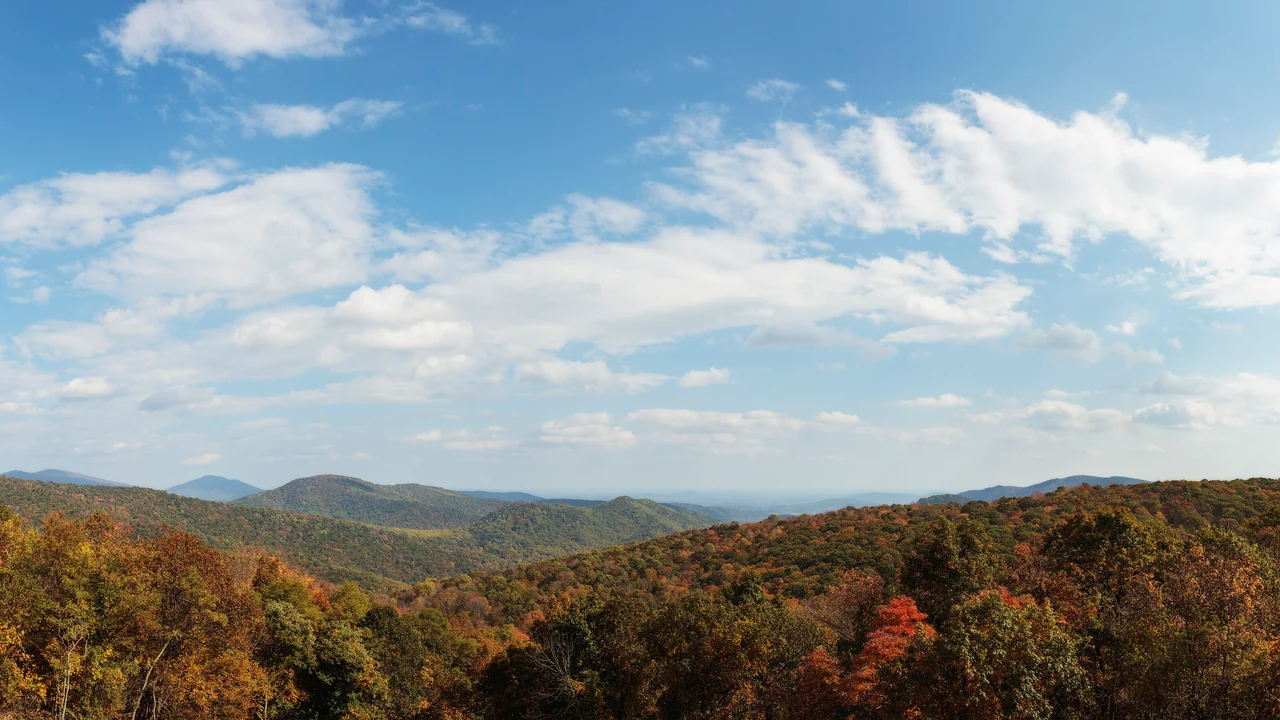 Fall color across the ridges of Shenandoah National Park seen from an overlook on Skyline Drive