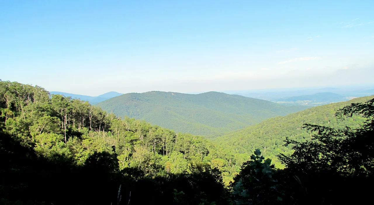 View west from a Skyline Drive overlook across forested ridges in Shenandoah National Park