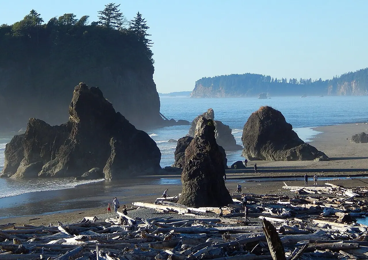 Sea stacks and driftwood at Ruby Beach on the Olympic National Park coast