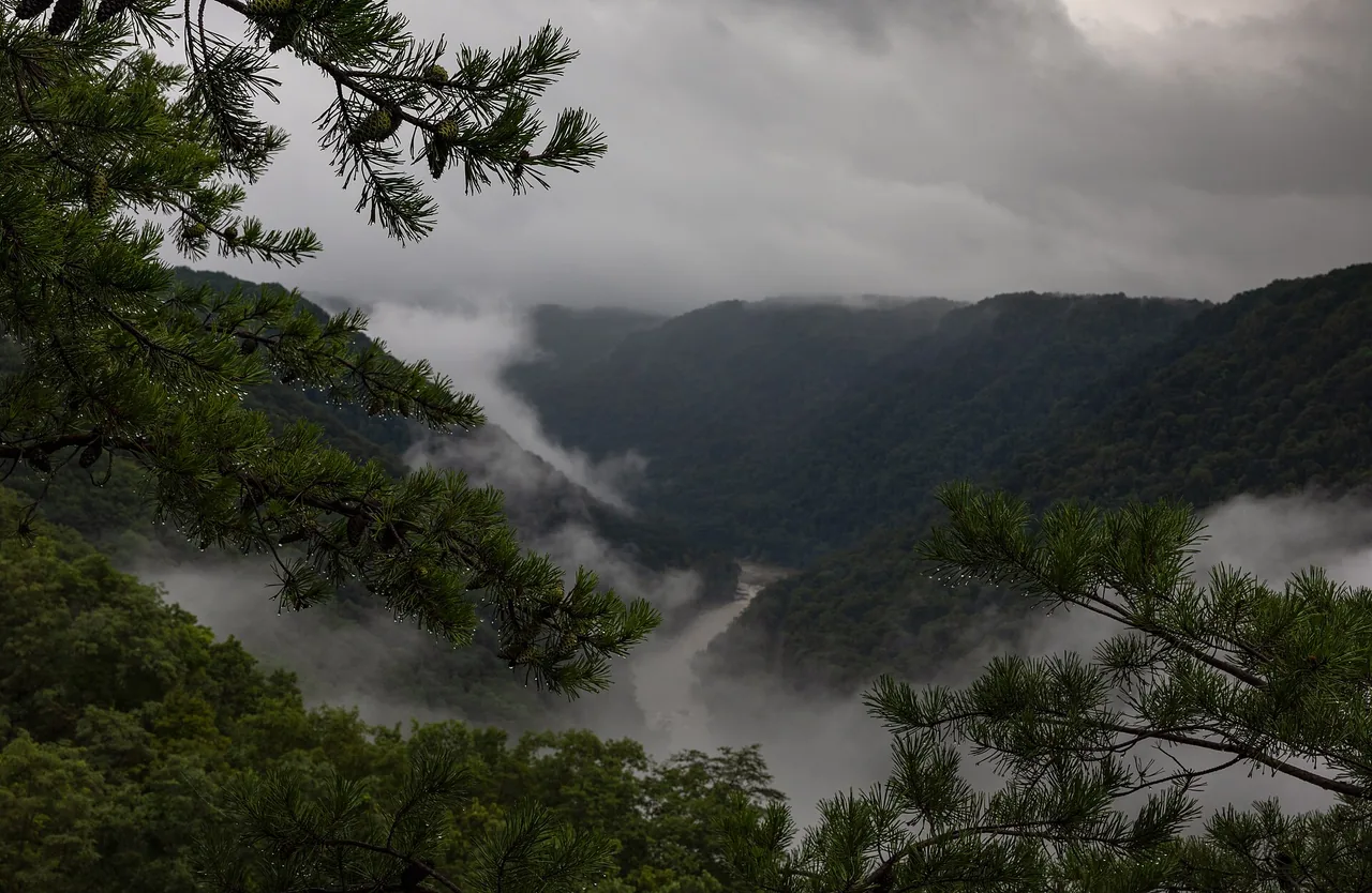 New River Gorge Bridge seen across forested ridges from an overlook near Fayetteville
