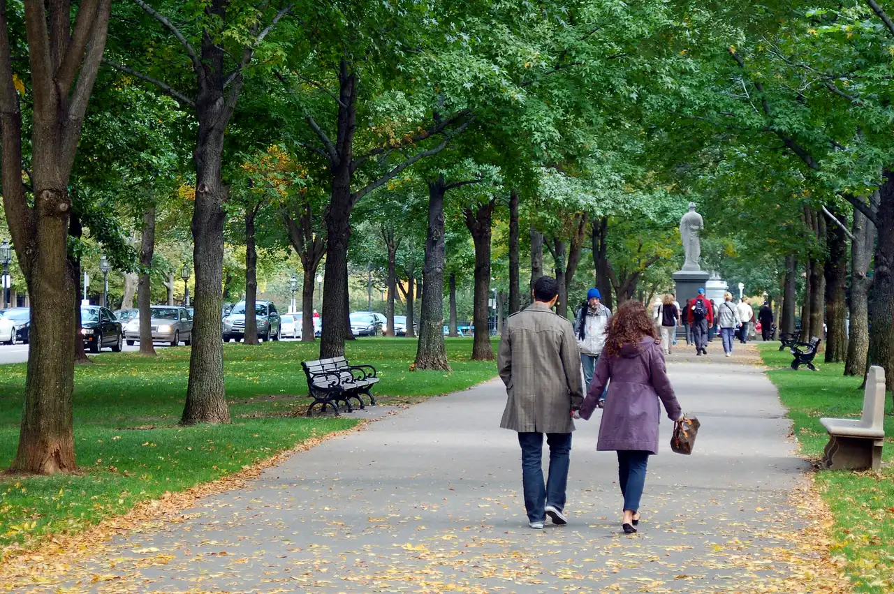 Couple walking under the trees on the Commonwealth Avenue Mall in Boston's Back Bay