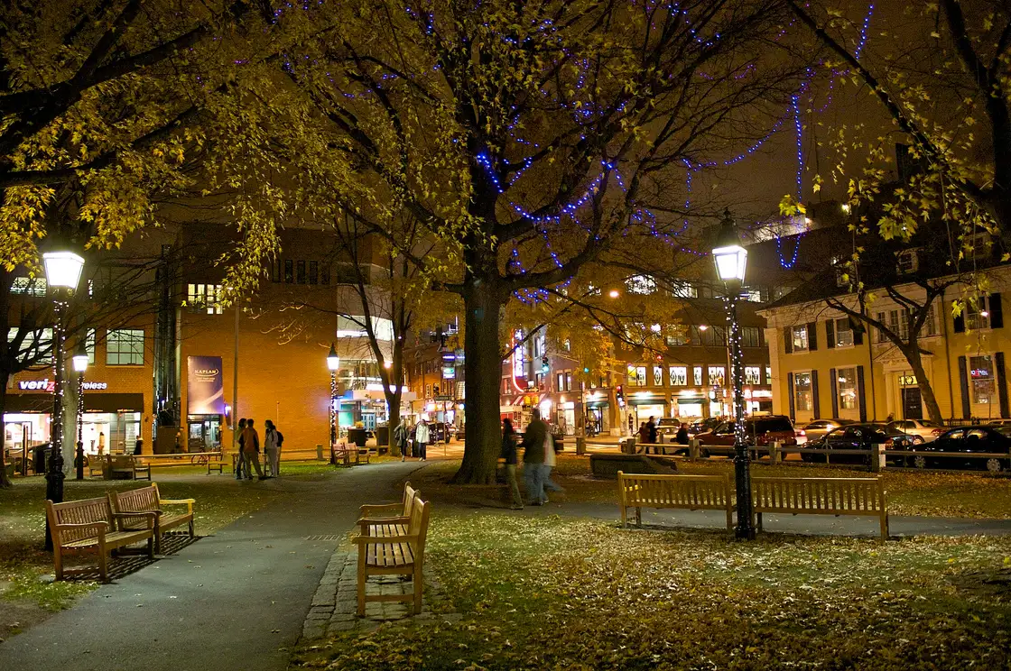 Harvard Square in Cambridge at night with lit streetlamps, fall leaves and storefronts