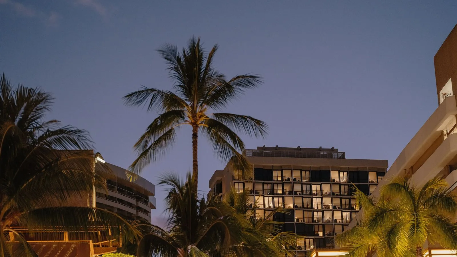 Waikiki hotel towers lit at dusk behind palm trees in Honolulu
