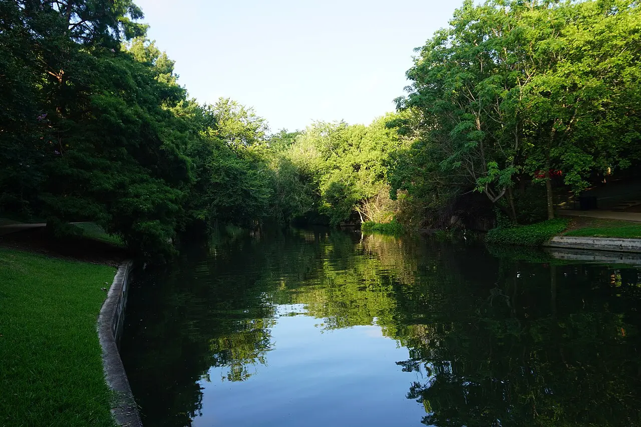 Quiet tree-lined bend of the San Antonio River Walk with reflections on still water