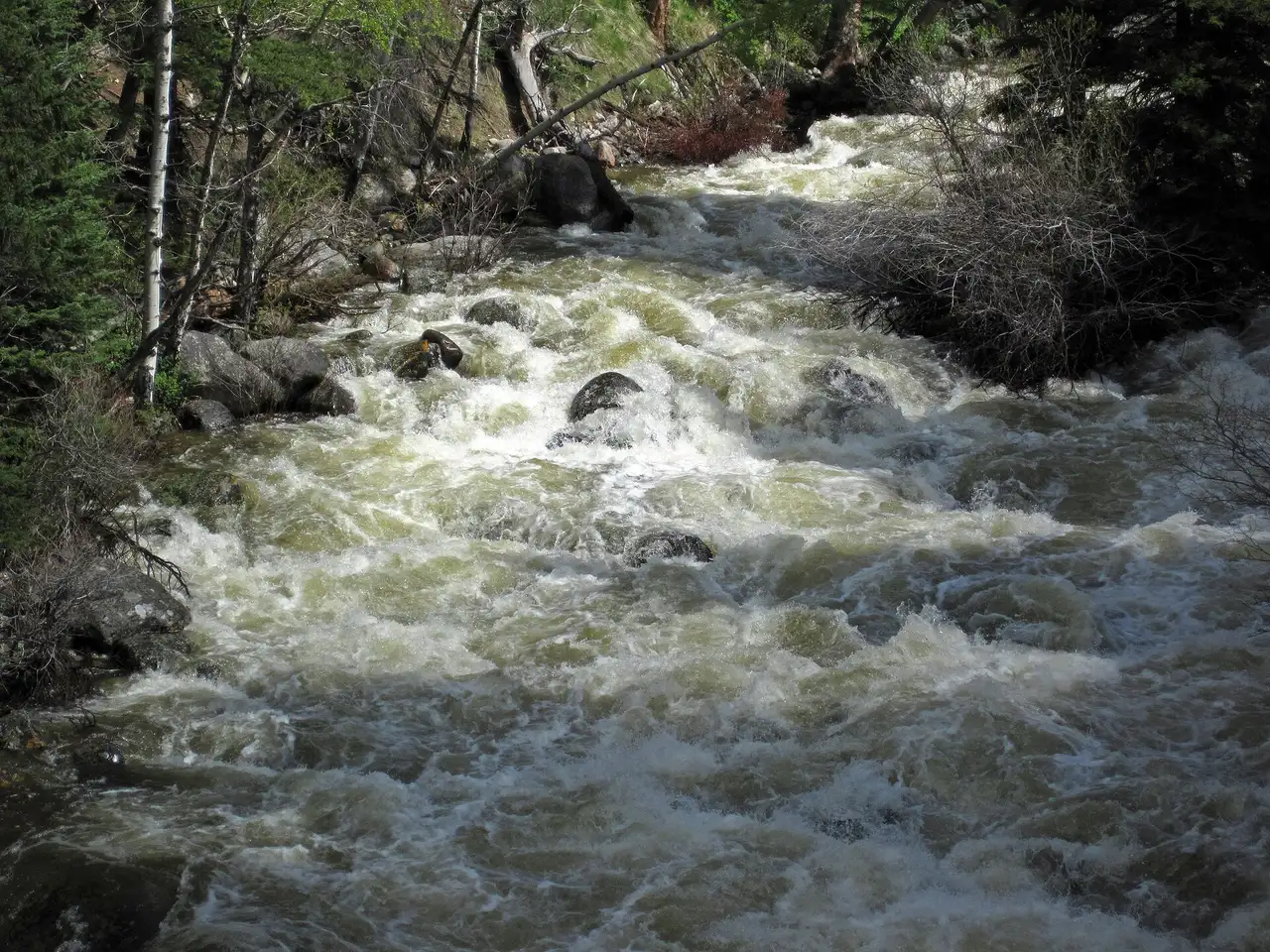 Tensleep Creek running through a canyon in the Bighorn Mountains of Wyoming