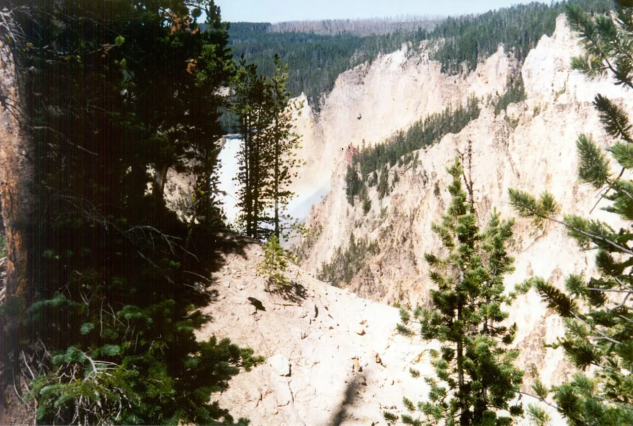 The Lower Falls of the Yellowstone River dropping into the yellow-walled Grand Canyon of the Yellowstone