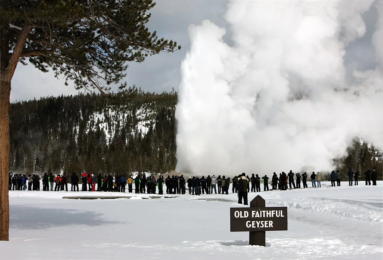 Old Faithful geyser sending a tall column of white water and steam into a blue sky