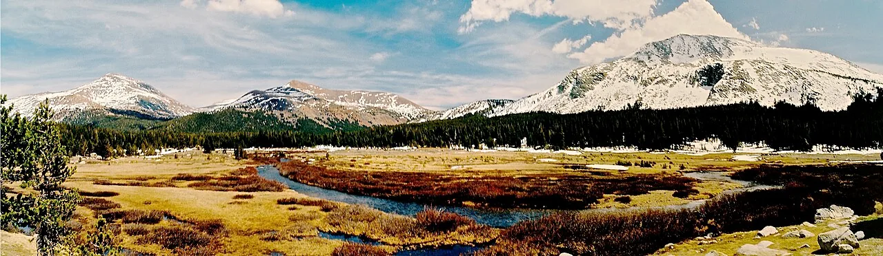 Open subalpine grassland of Tuolumne Meadows with granite domes behind, on the Tioga Road