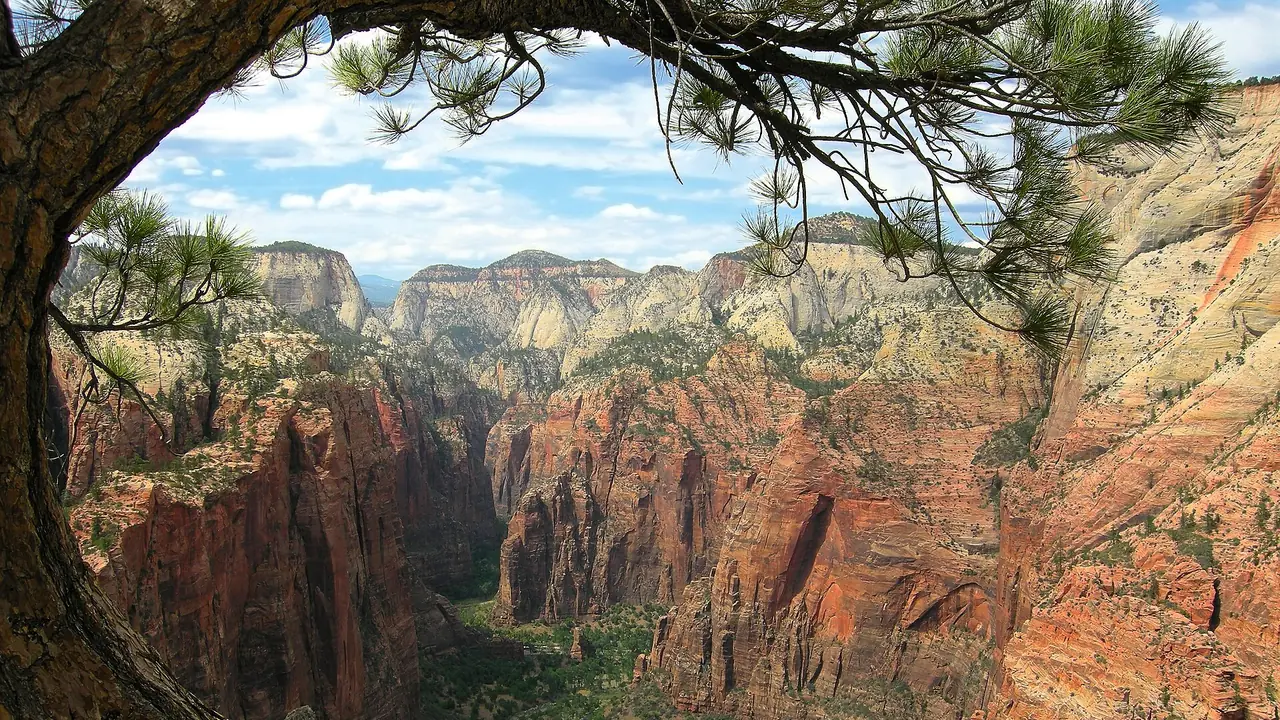 The sandstone fin of Angels Landing rising above the green floor of Zion Canyon