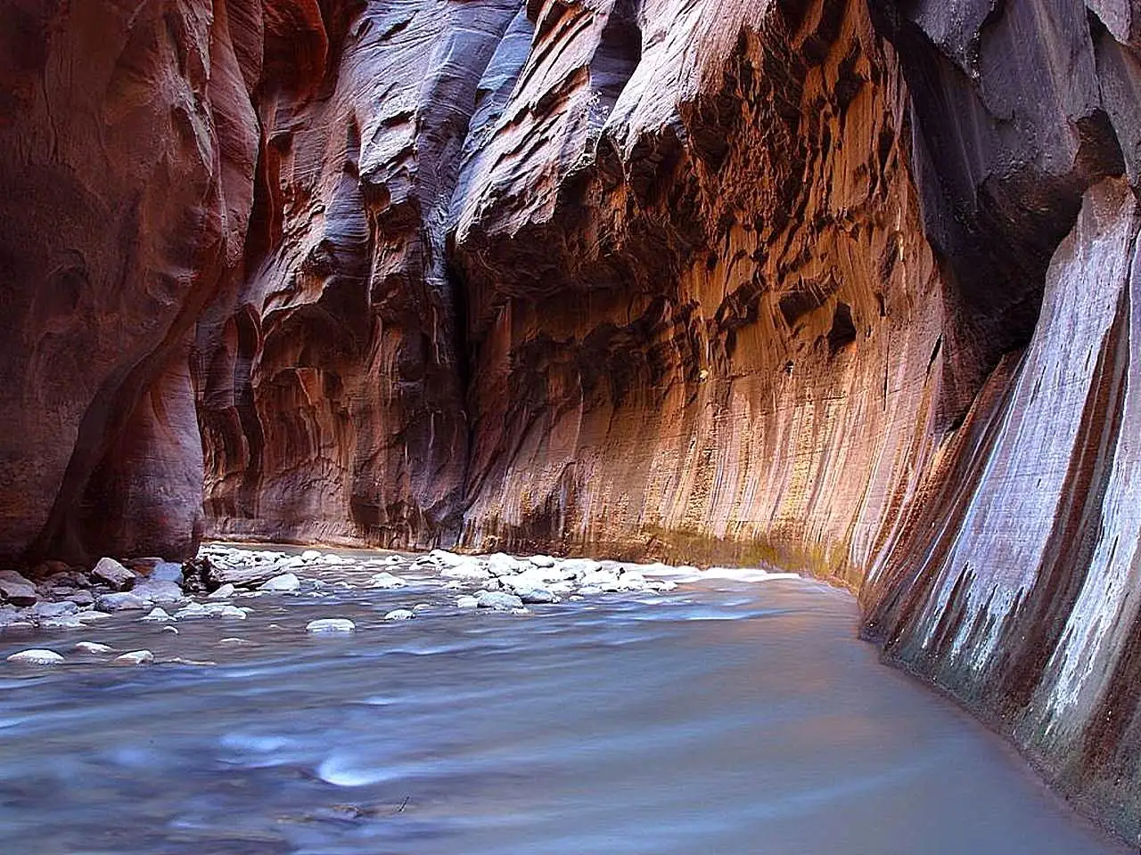 Hiker wading the shallow Virgin River between the towering striped walls of the Zion Narrows