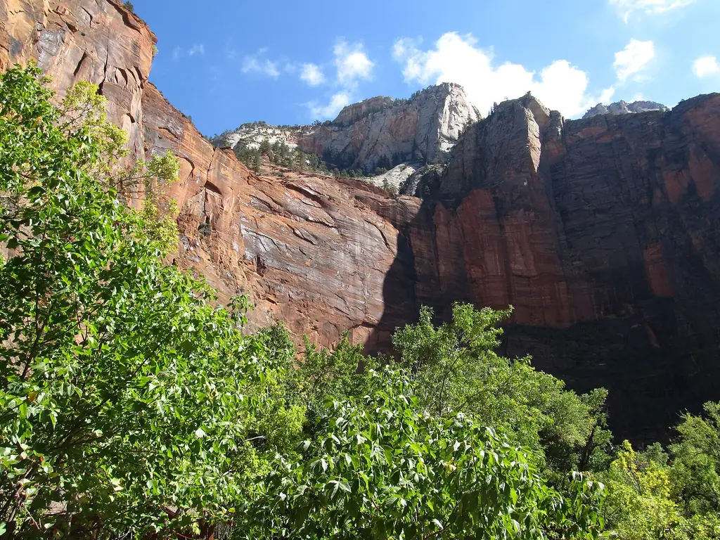 Paved Riverside Walk path running beside the Virgin River below high sandstone walls