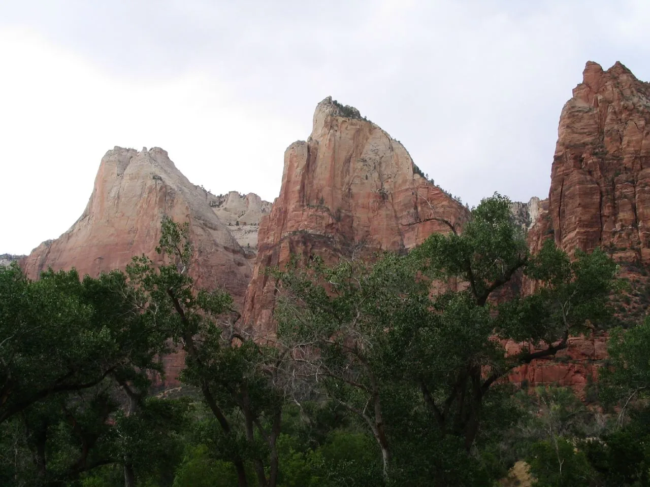 The Three Patriarchs sandstone peaks above the wooded floor of Zion Canyon